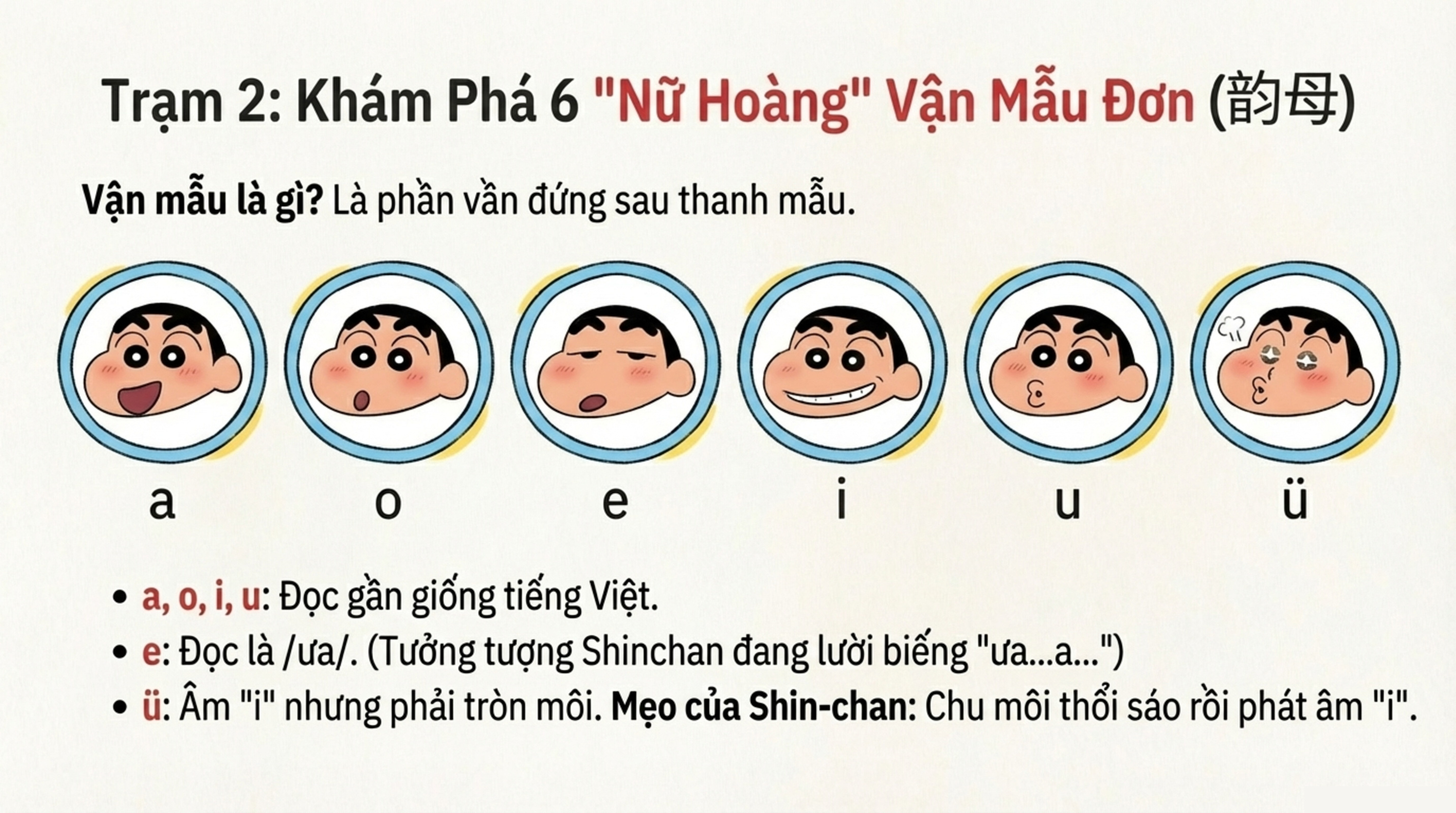 Bài giảng sinh động 4
