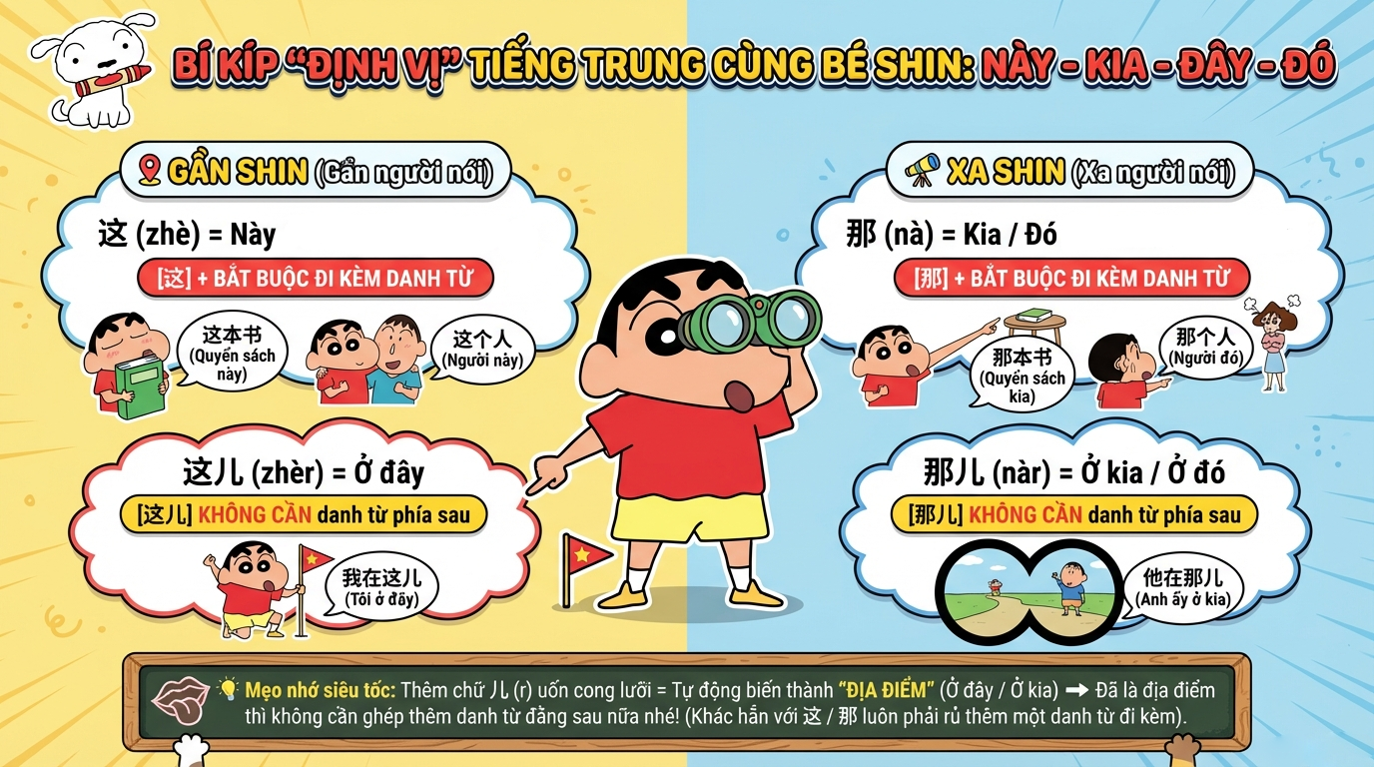Bài giảng sinh động 6